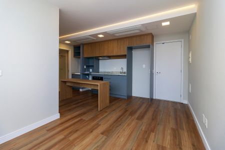 Sala de apartamento para alugar com 2 quartos, 48m² em Vila Sao Francisco (zona Sul), São Paulo