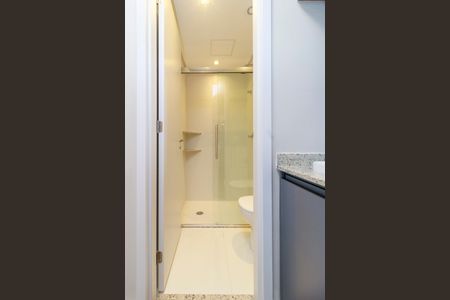 Banheiro de apartamento para alugar com 2 quartos, 48m² em Vila Sao Francisco (zona Sul), São Paulo