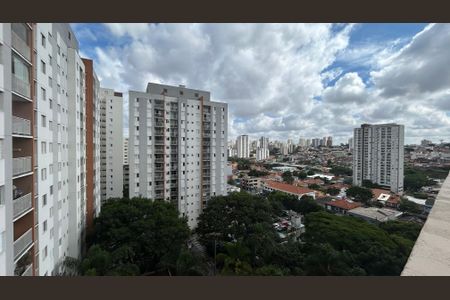 Apartamento para alugar com 31m², 1 quarto e sem vagaVista Solário