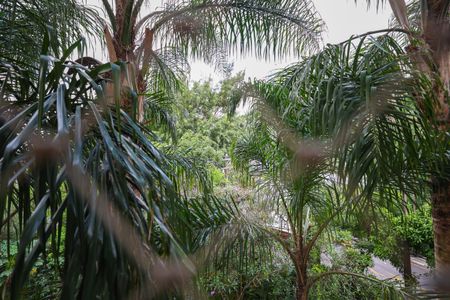 Apartamento para alugar com 256m², 3 quartos e 4 vagas Apartamento para alugar com 256m², 3 quartos e 4 vagasVista da Suíte 3