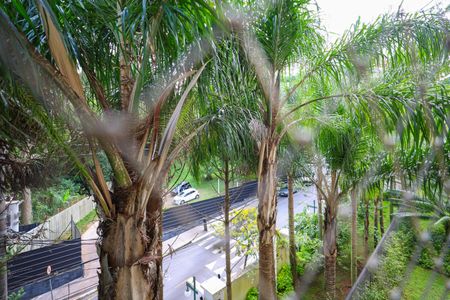 Apartamento para alugar com 256m², 3 quartos e 4 vagas Apartamento para alugar com 256m², 3 quartos e 4 vagasVista da Suíte 1