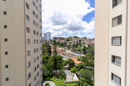 Vista Quarto 1 de apartamento para alugar com 3 quartos, 74m² em Vila Inglesa, São Paulo