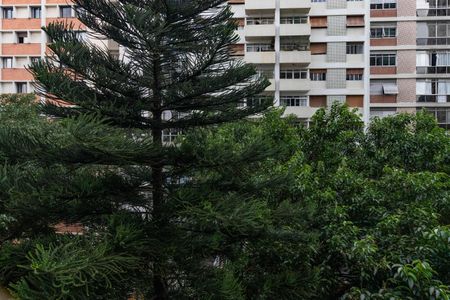 Apartamento à venda com 250m², 3 quartos e 4 vagasVista da Varanda