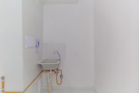 Área de Serviço de apartamento para alugar com 2 quartos, 33m² em Quinta da Paineira, São Paulo