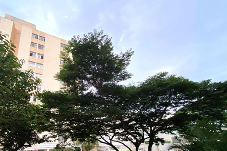 Vista da Sala de apartamento à venda com 3 quartos, 70m² em Sagrada Família, Belo Horizonte