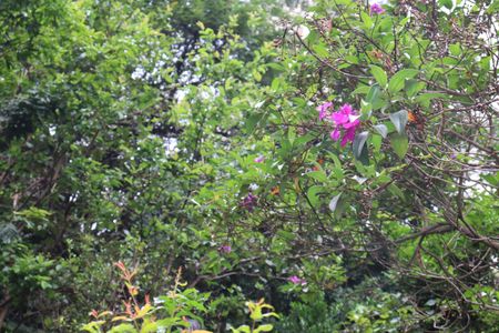 Apartamento para alugar com 67m², 2 quartos e 2 vagasÁrea Comum