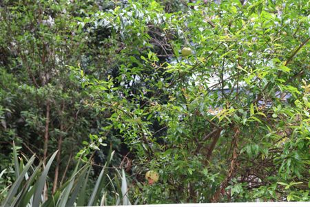 Apartamento para alugar com 67m², 2 quartos e 2 vagasÁrea Comum