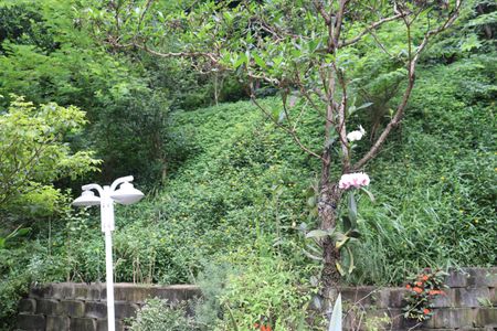 Apartamento para alugar com 67m², 2 quartos e 2 vagasÁrea Comum