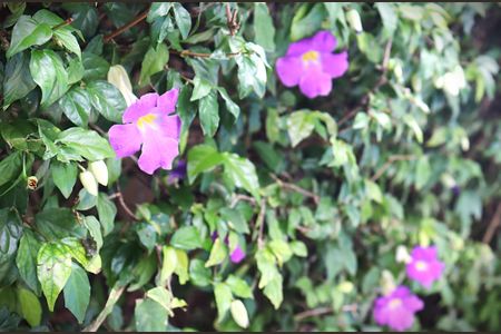 Apartamento para alugar com 67m², 2 quartos e 2 vagasÁrea Comum