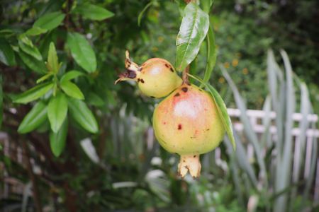 Apartamento para alugar com 67m², 2 quartos e 2 vagasÁrea Comum