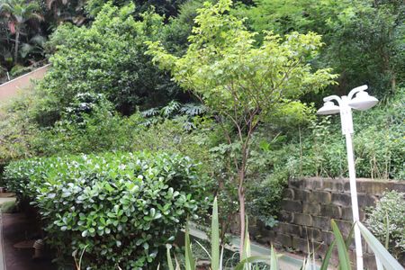 Apartamento para alugar com 67m², 2 quartos e 2 vagasÁrea Comum