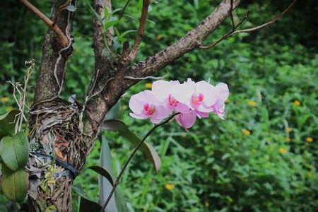 Apartamento para alugar com 67m², 2 quartos e 2 vagasÁrea Comum