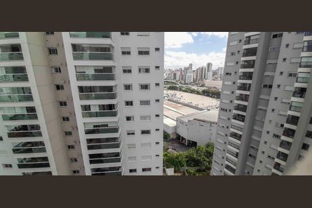 Apartamento para alugar com 136m², 4 quartos e 2 vagasVista da Suíte 2