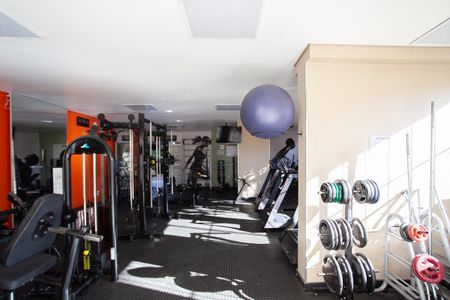 Apartamento para alugar com 61m², 1 quarto e 1 vaga Apartamento para alugar com 61m², 1 quarto e 1 vagaÁrea comum - Academia