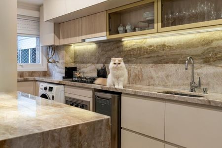 Apartamento para alugar com 2 quartos, 55m² em Rio Branco, Porto Alegre