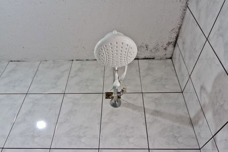 Casa para alugar com 147m², 2 quartos e 2 vagasBanheiro