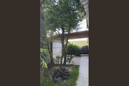 Casa para alugar com 266m², 5 quartos e 3 vagasQuintal