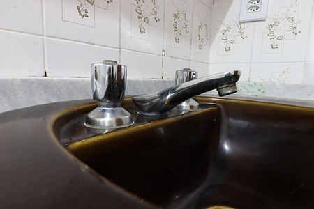 Apartamento à venda com 80m², 2 quartos e sem vagaBanheira da Suíte - Torneira