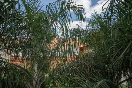 Quarto 1 - Vista da Janela de apartamento para alugar com 2 quartos, 59m² em Residencial Joao Luiz, Hortolândia