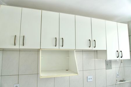 Apartamento para alugar com 49m², 2 quartos e 1 vagaCozinha - Armários
