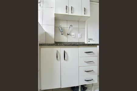 Apartamento para alugar com 49m², 2 quartos e 1 vagaCozinha - Armários