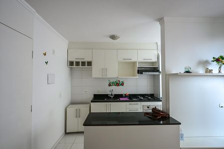 Apartamento para alugar com 55m², 2 quartos e 1 vagaCozinha