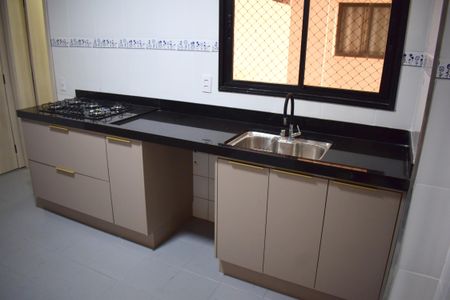Cozinha - Armários de apartamento para alugar com 3 quartos, 124m² em Centro, Ribeirão Preto