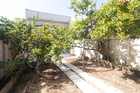 Casa para alugar com 342m², 5 quartos e 2 vagasQuintal