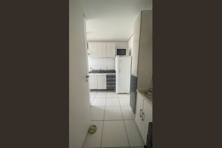 Cozinha  de apartamento para alugar com 3 quartos, 68m² em Passo d’Areia, Porto Alegre