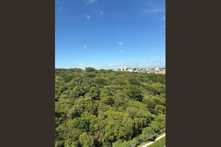 Apartamento à venda com 61m², 3 quartos e 1 vagaFoto 01