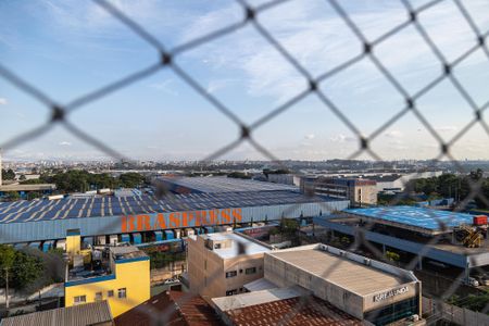 Apartamento para alugar com 2 quartos, 58m² em Cidade Jardim Cumbica, Guarulhos