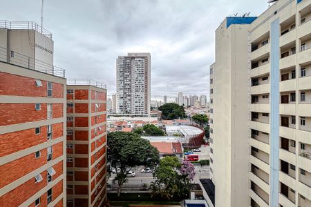 Vista da Sala de apartamento para alugar com 2 quartos, 60m² em Vila Gomes Cardim, São Paulo