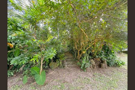 Casa para alugar com 2000m², 2 quartos e 15 vagasQuintal