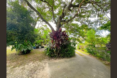 Casa para alugar com 2000m², 2 quartos e 15 vagasQuinta