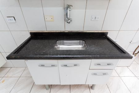 Apartamento para alugar com 50m², 2 quartos e 1 vagaCozinha - Pia 