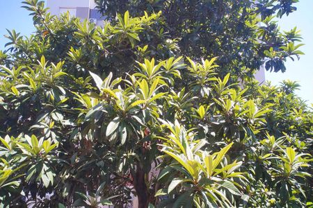 Apartamento à venda com 56m², 2 quartos e 1 vagaQuarto 2