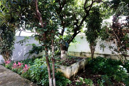 Casa à venda com 455m², 4 quartos e 3 vagasQuintal