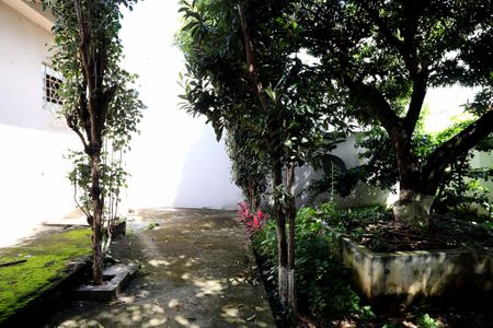 Casa à venda com 455m², 4 quartos e 3 vagasQuintal