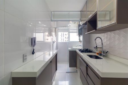 Cozinha de apartamento para alugar com 2 quartos, 48m² em Quinta da Paineira, São Paulo