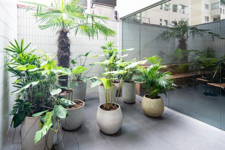 Studio à venda com 16m², 0 quarto e sem vagaJardim de Inverno