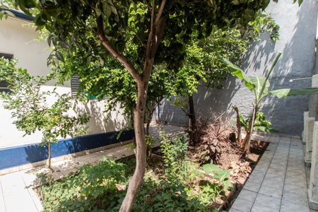 Casa para alugar com 60m², 1 quarto e 1 vagaQuintal