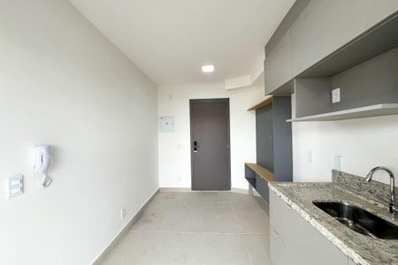 Sala/Cozinha de apartamento para alugar com 1 quarto, 27m² em Vila Dom Pedro Ii, São Paulo