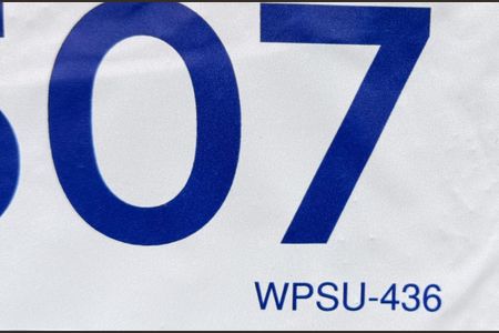 Casa para alugar com 55m², 1 quarto e sem vagaWPSU-436