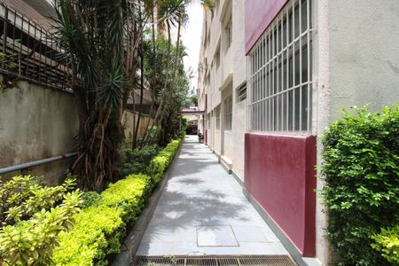 Apartamento para alugar com 52m², 2 quartos e sem vaga Apartamento para alugar com 52m², 2 quartos e sem vagaÁrea comum