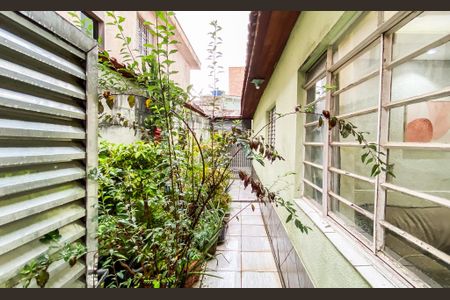 Casa à venda com 290m², 3 quartos e 3 vagas Casa à venda com 290m², 3 quartos e 3 vagasQuintal