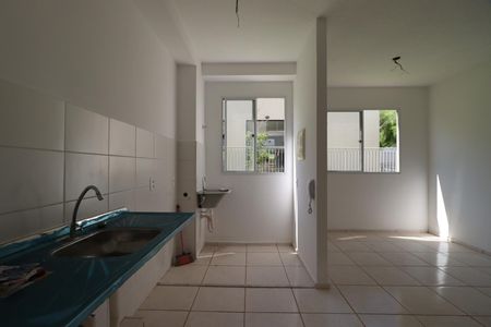 Cozinha de apartamento para alugar com 2 quartos, 46m² em Reserva Macaúba, Ribeirão Preto