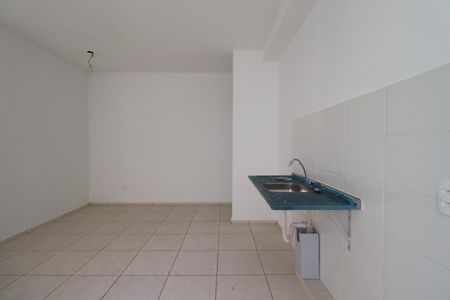 Cozinha de apartamento para alugar com 2 quartos, 46m² em Reserva Macaúba, Ribeirão Preto