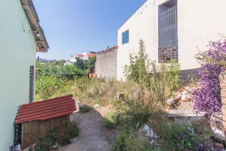 Casa para alugar com 90m², 1 quarto e 5 vagasCozinha