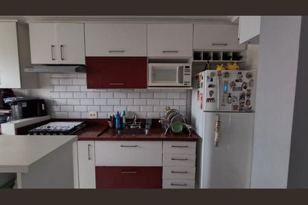 Foto 10 de apartamento à venda com 2 quartos, 56m² em Vila Sonia do Taboao, Taboão da Serra