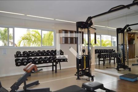 Apartamento para alugar com 45m², 1 quarto e 1 vagaÁrea comum - Academia